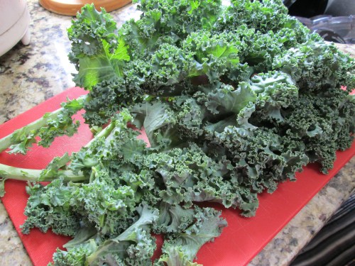 A big ol' bunch of kale.